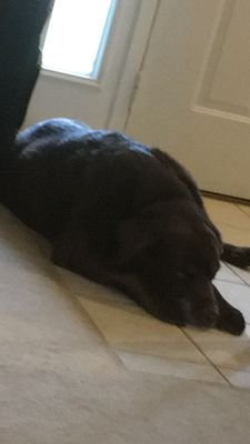 stitch548's profile picture. 