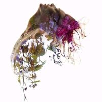 Elif Büşra Korkmaz (@uzmdyt_elif) 's Twitter Profile Photo