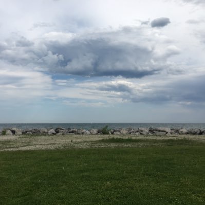 womeng2018's profile picture. Graduate Student from Dr. Osterloh's group