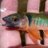 tdqZUQ08B8F6pnE's profile image