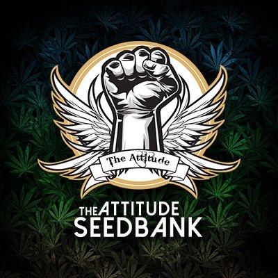 The Attitude Seed Bank is one of the largest retail distributors of cannabis seeds in the world. 
Worldwide shipping.