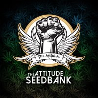 Cannabis Seeds (@attitudeseeds) 's Twitter Profile