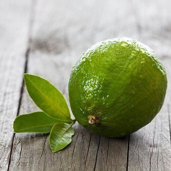 RaimuErt's profile picture. RaimuEr ほかにもいろいろ 申請くれれば通します  夏チャレ鯖からカイン281