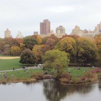 ▫️▫️ s t e v e▫️▫️ (@fluentfluidity) 's Twitter Profile