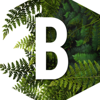 Biodiverse Consulting Ltd(@BiodiverseC) 's Twitter Profile Photo