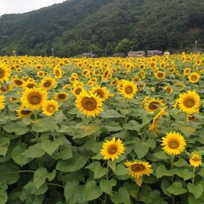OF3Z6KZzRFk8zPJ's profile picture. 得に生活することを心がけて生活中。株に興味を持ち始めたのでスペースにお邪魔することもあります🤗
