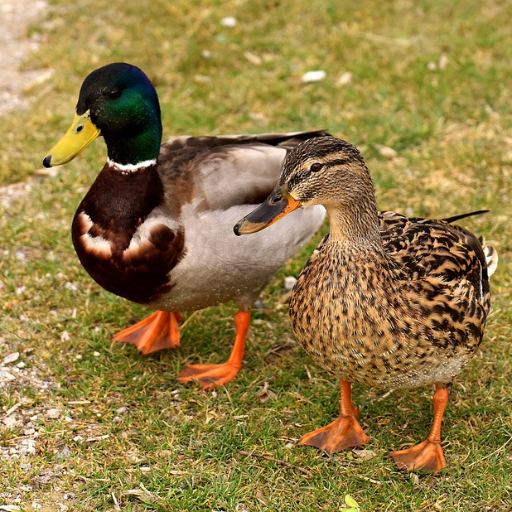 This account is inactive as of June 2019. Please see instead @CardiffUniLib.