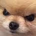 glarfugus (@glarfugus) Twitter profile photo glarfugus (@glarfugus) Twitter profile photo