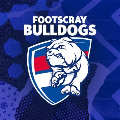 Official Twitter account of the Footscray Bulldogs VFL team.