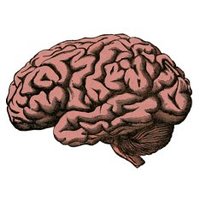 TCD_Neurology (@neurologytcd) 's Twitter Profile Photo TCD_Neurology (@neurologytcd) 's Twitter Profile Photo