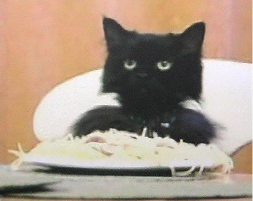 funnyvid's profile picture. Every day we post links to the funniest videos online. If you've got a good one, send it our way!