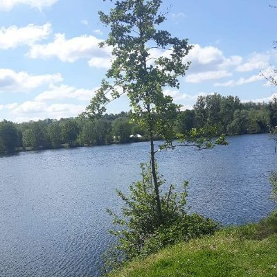 fcncoco's profile picture. #FM24 #FCNantes 
Rêve : souhaite participer à une coupe du monde fm
Me retrouver sur twitch fcncoco 

Fcncoco sur twicht (fm24 procycling et poker)