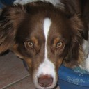 Alan Hanna - @paddi70 - Twitter