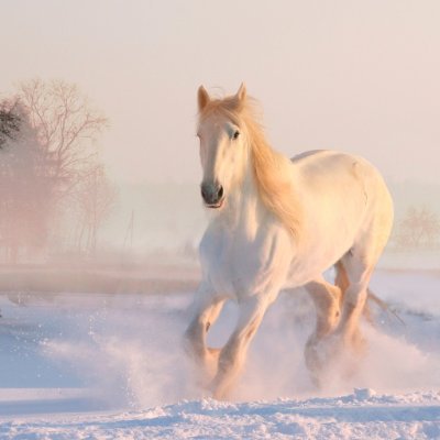 WittyShubh's profile picture. Data. #Fluorescence. #Lanthanides. Research. #Diffraction. #Spectrophotometry. #Materials_Engineer.