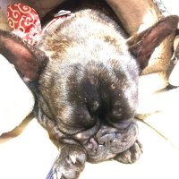 GEN (@gen21688765) 's Twitter Profile