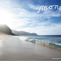 monaco (@monaco_info) 's Twitter Profile