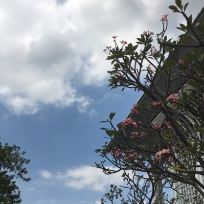 Tooma_MD's profile picture. لنكن روحاً تمنح الدفء والابتسامه أينما حلت*