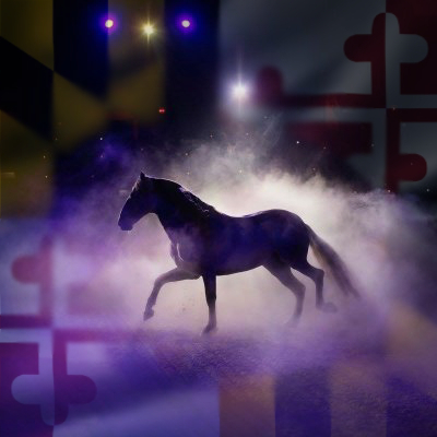 Official Twitter Account for Medieval Times Maryland. Follow us for all the latest news and events happening at the Maryland Castle!
