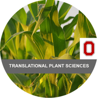 Translational Plant Sciences @ OSU (@tps_osu) 's Twitter Profile