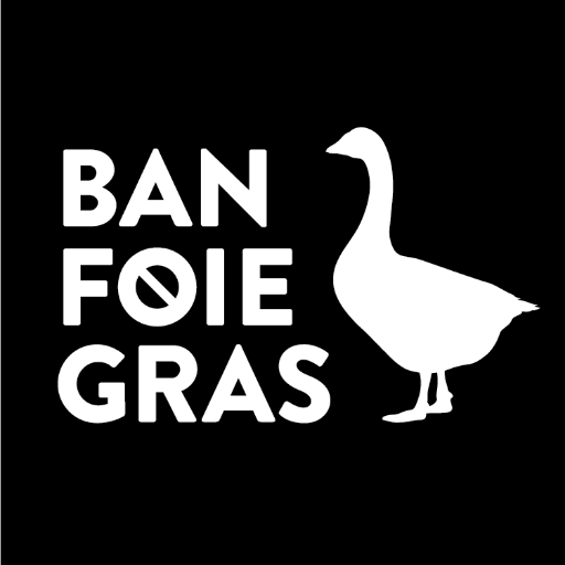 Urge your New York City Council Member to support Intro 1378! A project of @theanimalvoters. #nycfoiegras #banfoiegras (media inquiries: woof@vfar.org)