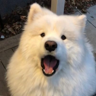 ivonnemunthe's profile picture. 