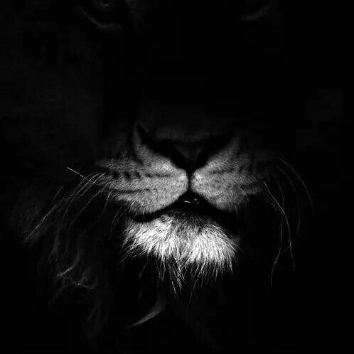 luchocasasr's profile picture. Estudié sociología, estudié derecho, bogotano, santafereño, clandestino, ilegal!!!
DULCE CONDENA