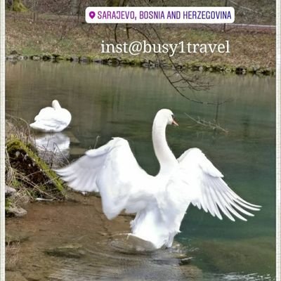 alestorah_36r's profile picture. ‏‏‏‏تجارة-وسيط للمواقع الاجنبية -عطور تركيب مركزة كود ايهيرب TOR864
وكود خصم شركة   DXN      
144571906