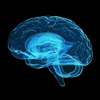 Leeds Neurosciences (@lthtneuro) 's Twitter Profile