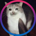 électrique ⚡🏳️🌈 (@th3foxtr0t) Twitter profile photo électrique ⚡🏳️🌈 (@th3foxtr0t) Twitter profile photo