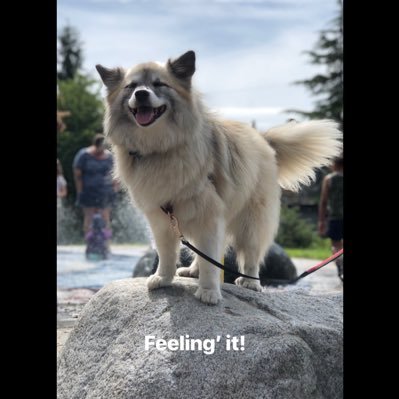 Cynthia🤝🇨🇦🏴🌈🌲🇺🇦 Profile