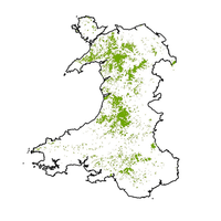 Welsh Peatlands Research(@WelshPeatRes) 's Twitter Profile Photo
