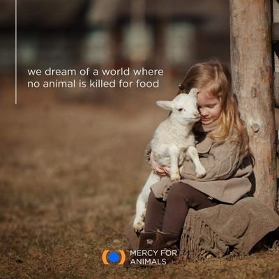 VeganCampaign's profile picture. To build a Global Vegan Community. To Petition Global Leadership & Parliamentarians to Enact Legislations for Cruelty-Free World for Animal