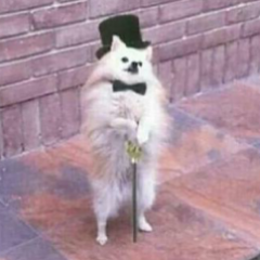 valentino123458's profile picture. 🏍️