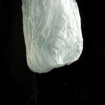 hirotam03569434's profile picture. Hi, everyone!