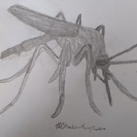 Bite of A Mosquito (@biteofamosquito) 's Twitter Profile