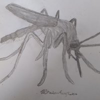 Bite of A Mosquito(@BiteOfAMosquito) 's Twitter Profile Photo