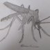 Bite of A Mosquito (@biteofamosquito) Twitter profile photo Bite of A Mosquito (@biteofamosquito) Twitter profile photo
