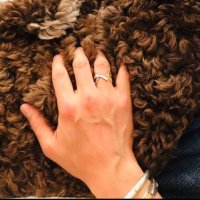 セロリ🍀 (@sytk_51113) 's Twitter Profile Photo