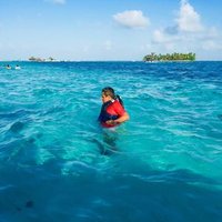 Fermín Beltrán (@fermnbeltrn3) 's Twitter Profile