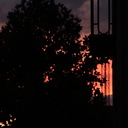 Tamara Browne - @quenthesaurustx - Twitter