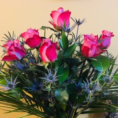 PollinRas11's profile picture. 