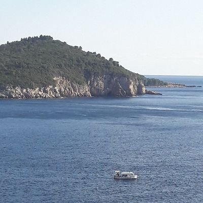 verbal87's profile picture. Yorkshireman exiled in Sussex. Widower. Newcastle supporter. Lover of Guinness.