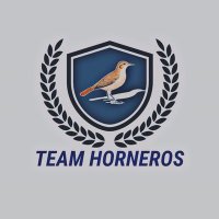 Team Horneros (@hornerosteam) 's Twitter Profile