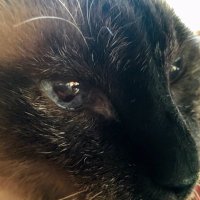 ζ‘ε±±επ
πββ¬ (@scarecrow_toma) 's Twitter Profile