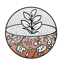 Global Sustainable Agriculture & Environment (@cropglobal) 's Twitter Profile Photo Global Sustainable Agriculture & Environment (@cropglobal) 's Twitter Profile Photo