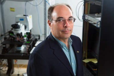 MXuFriedman's profile picture. Professor of Biology, University at Buffalo, specializing in synaptic physiology in the auditory brainstem