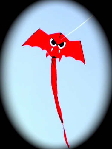 skihardjumphigh's profile picture. Let's jump off a cliff. I mean with your skis and the snow.