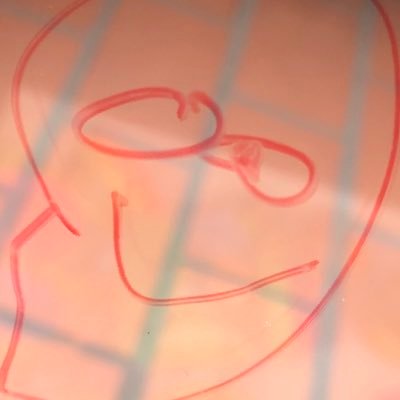 sancaoz's profile picture. 