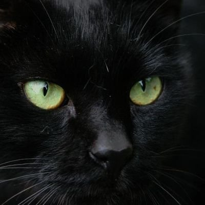 kazatsuyu's profile picture. https://t.co/720h5l1PLC https://t.co/eEscNY0z4f @kazatsuyu2 https://t.co/YleOJxuqxH https://t.co/BKekWLWeT5