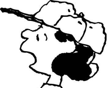 nicourrutia Profile Picture
